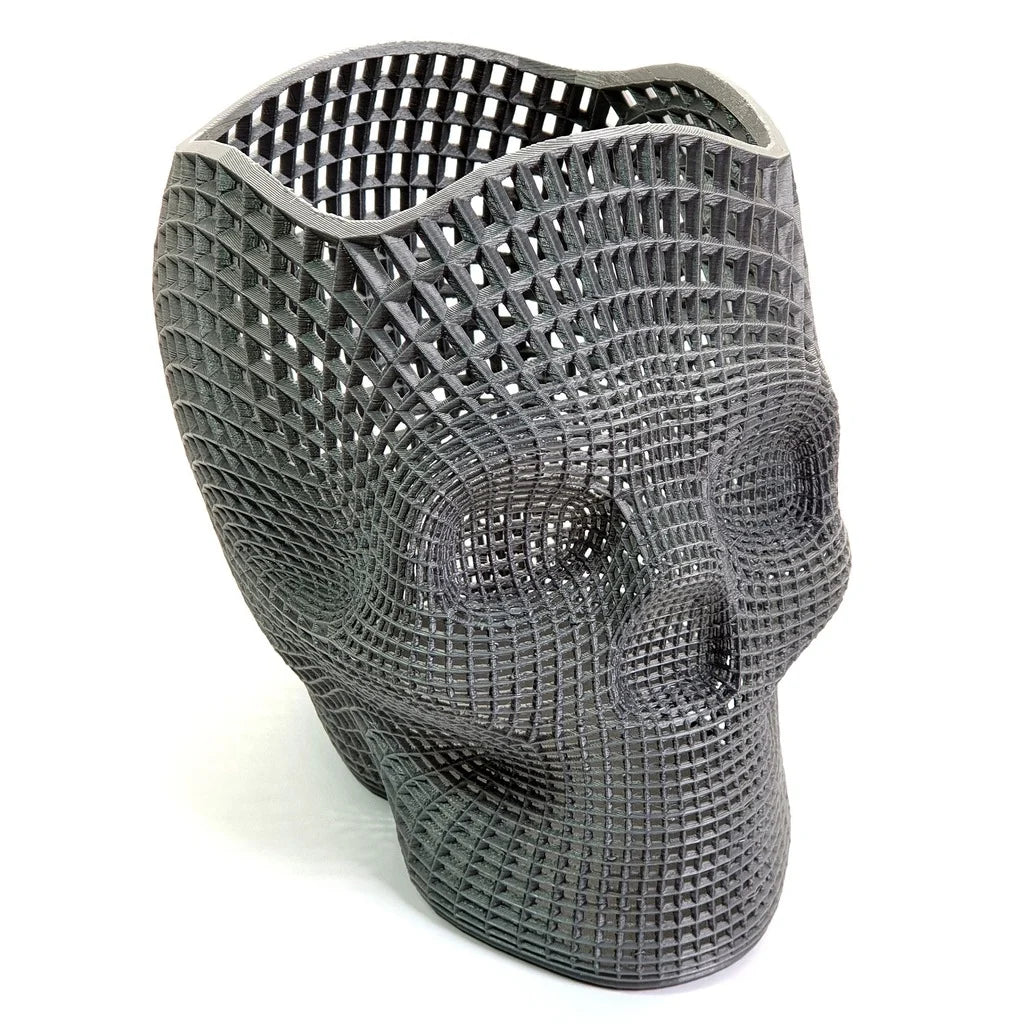 Wireframe Skull