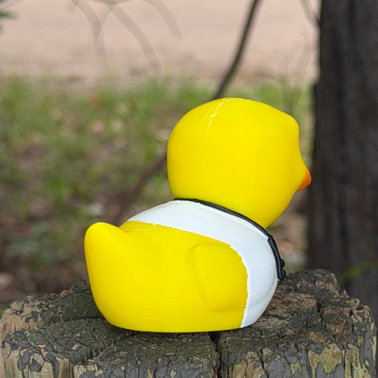 Doctor Duck