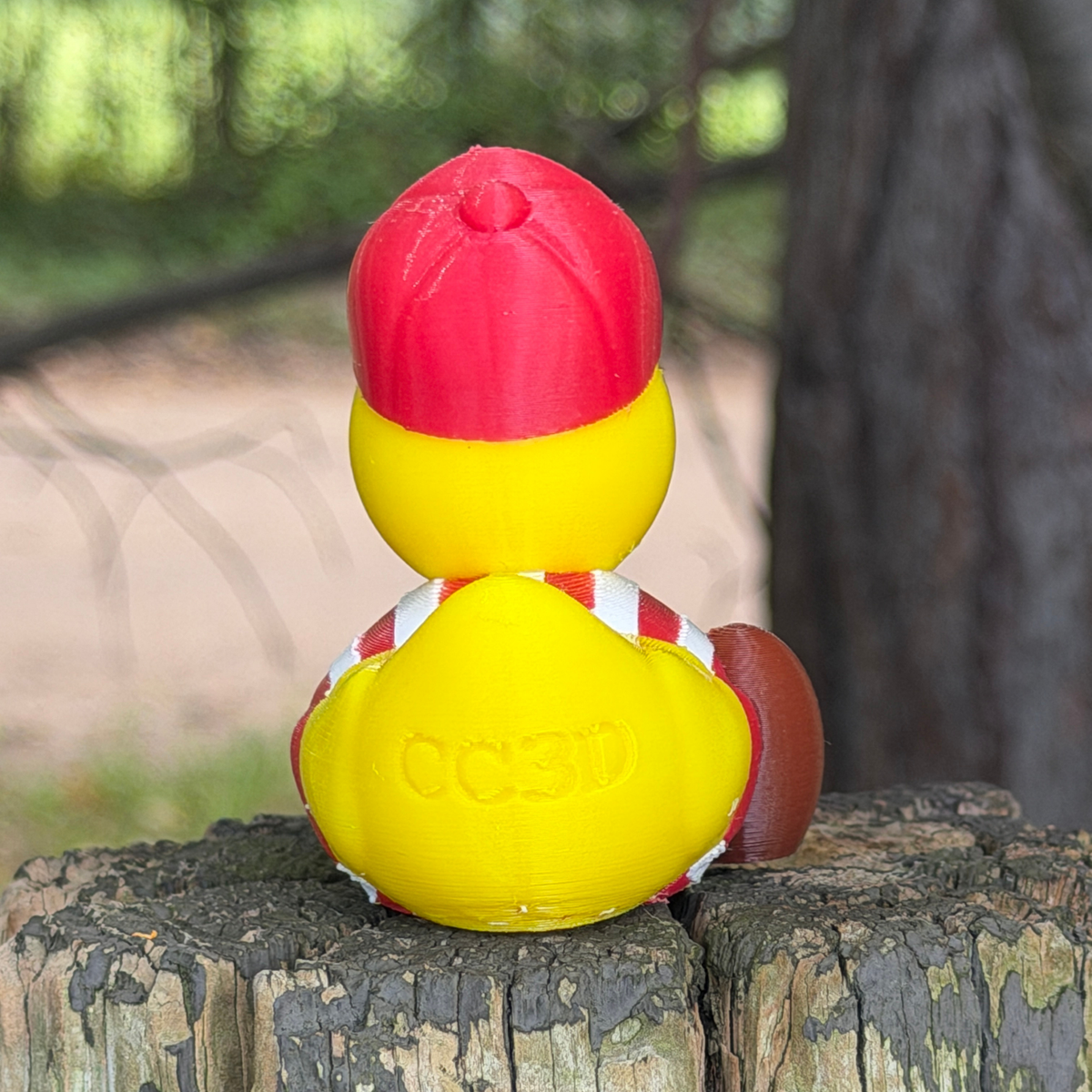 Wisconsin Football Duck | Red & White Gameday Gift