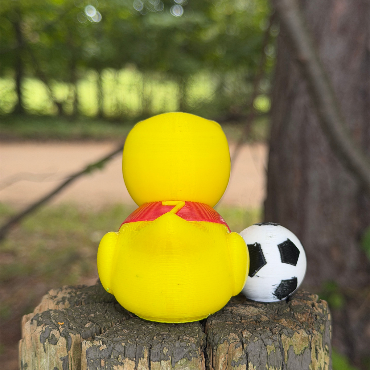 Soccer Duck