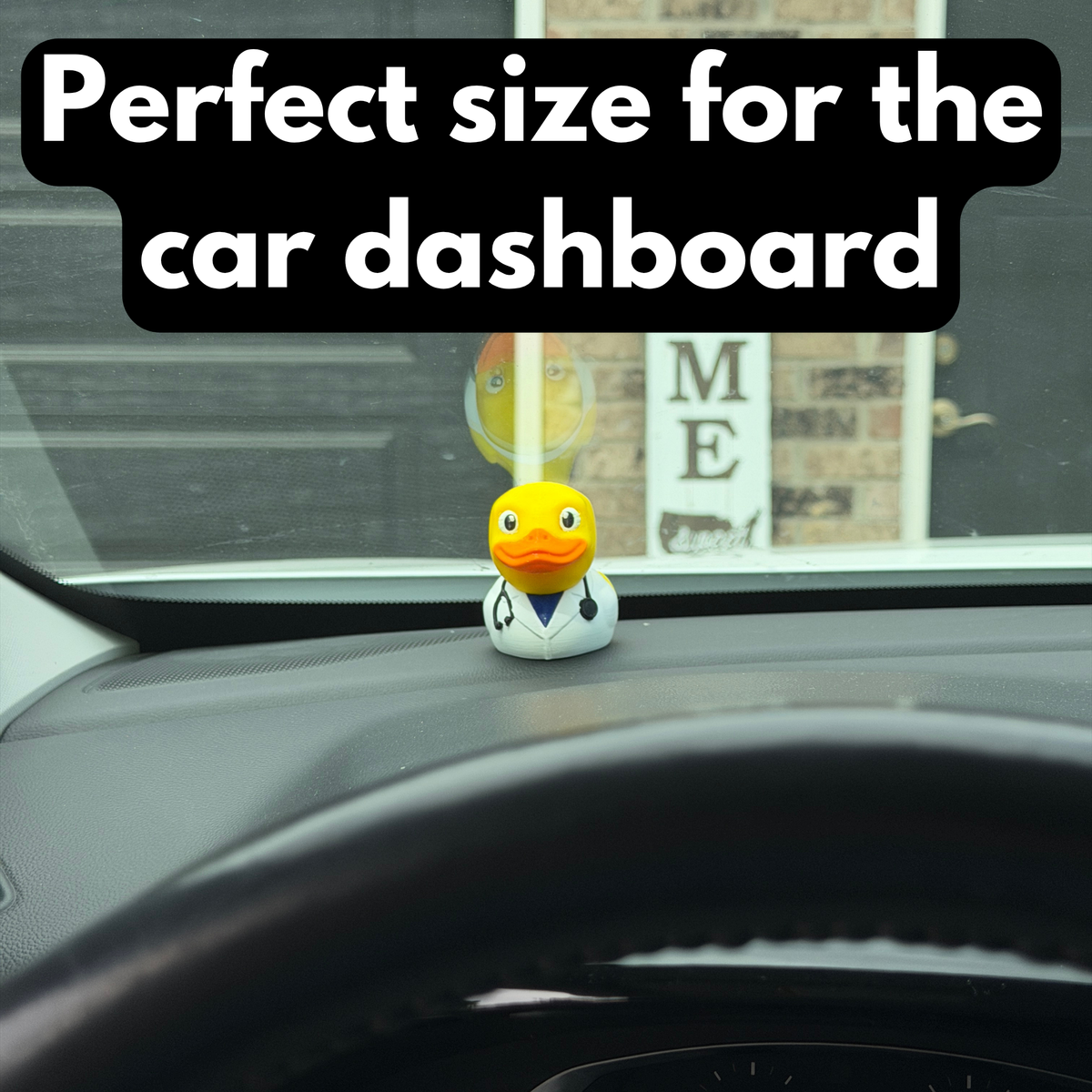 Doctor Duck
