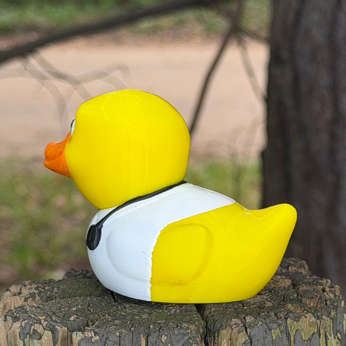 Doctor Duck