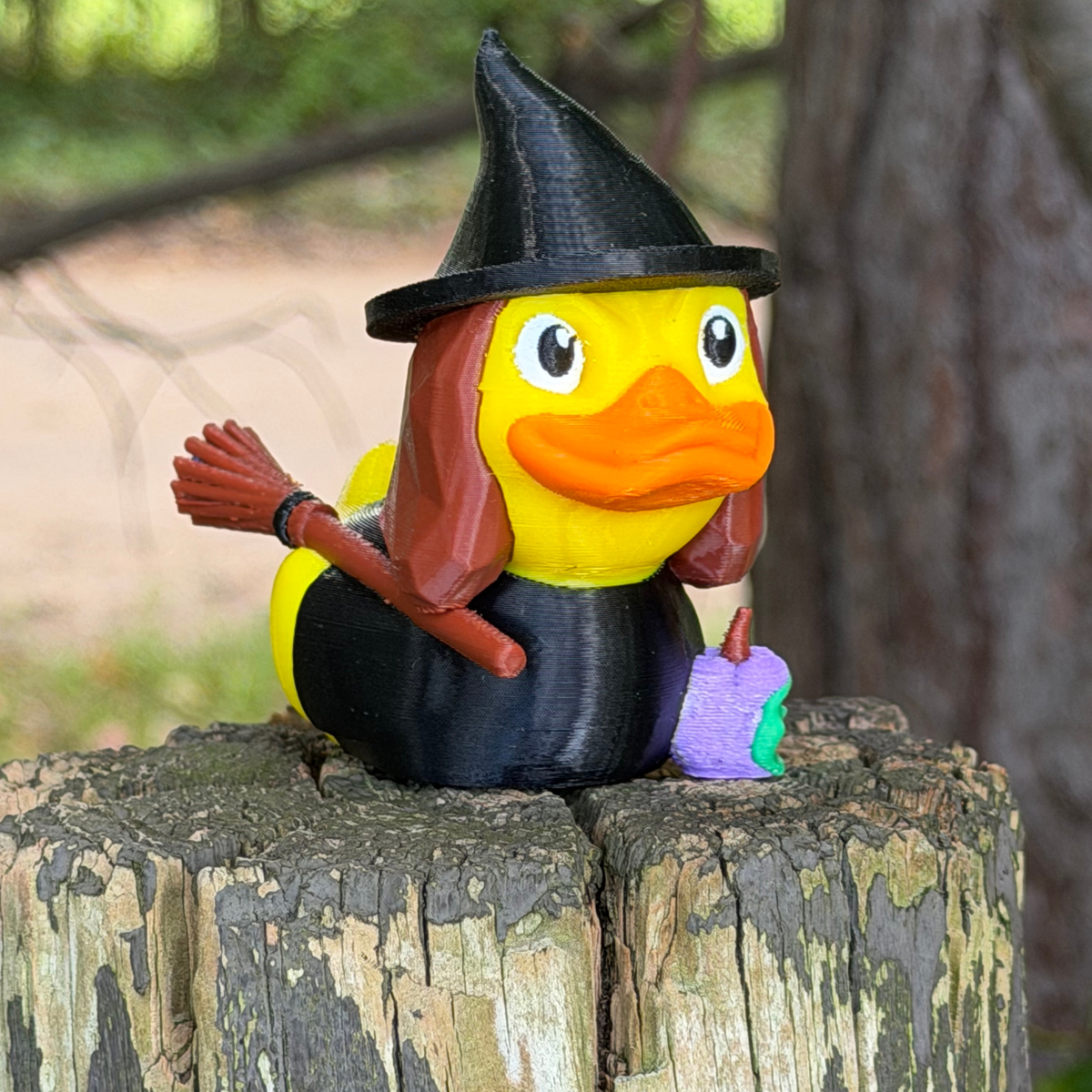 Witch Duck | Halloween Decor
