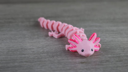 Axolotl