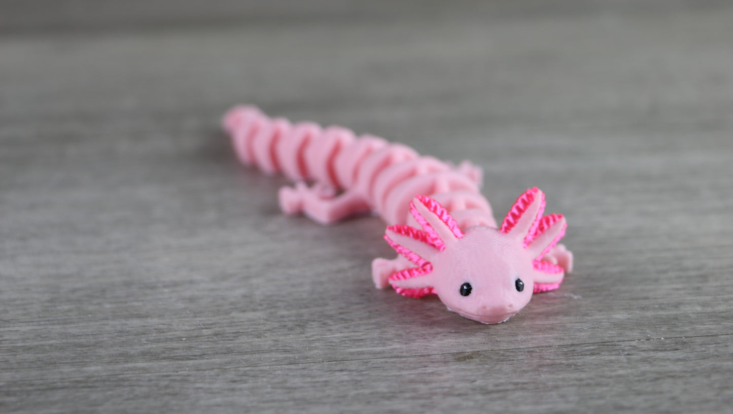 Axolotl