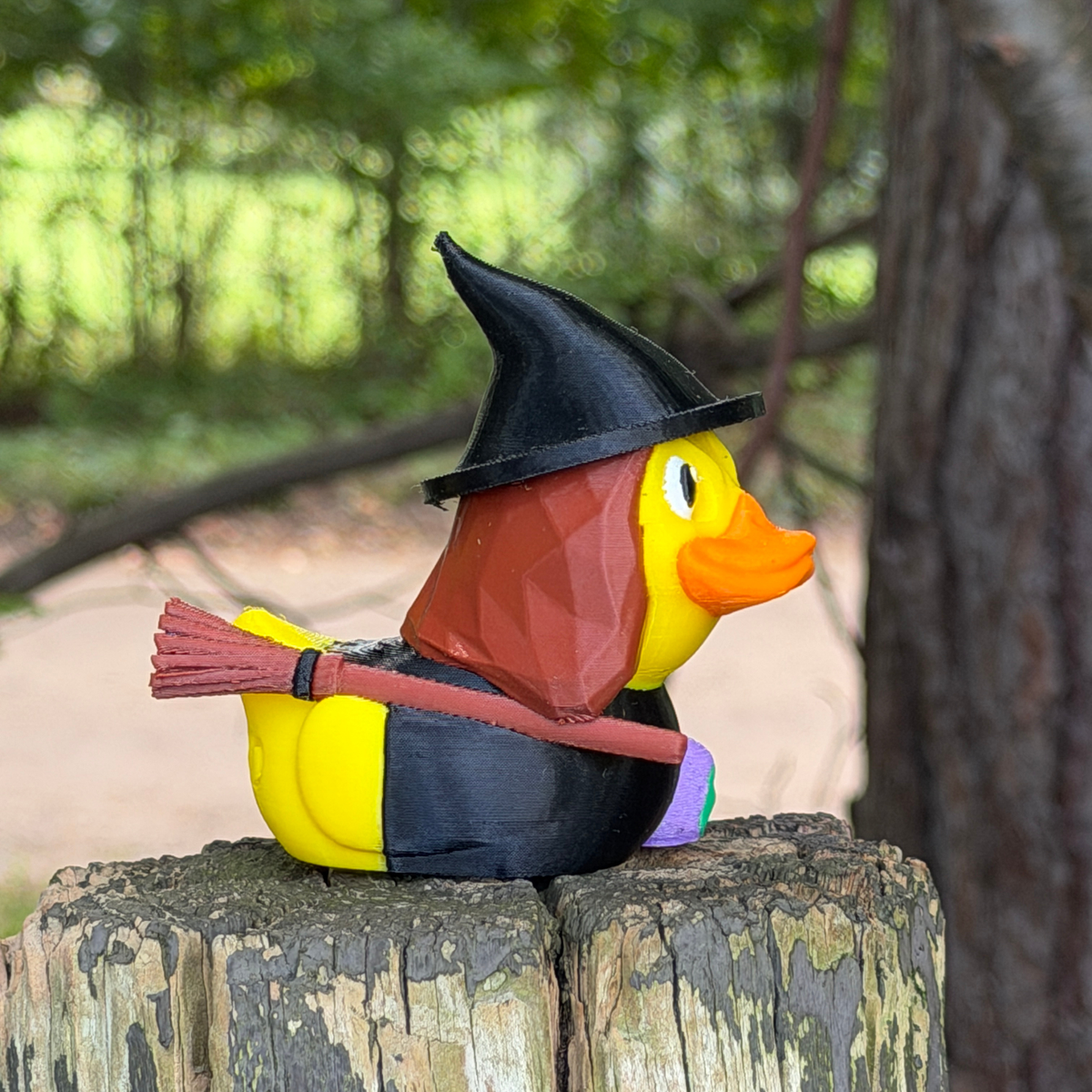 Witch Duck | Halloween Decor
