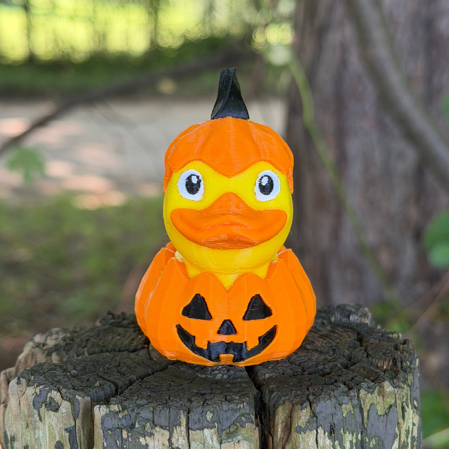 Jack O Lantern Duck | Halloween Pumpkin Decor