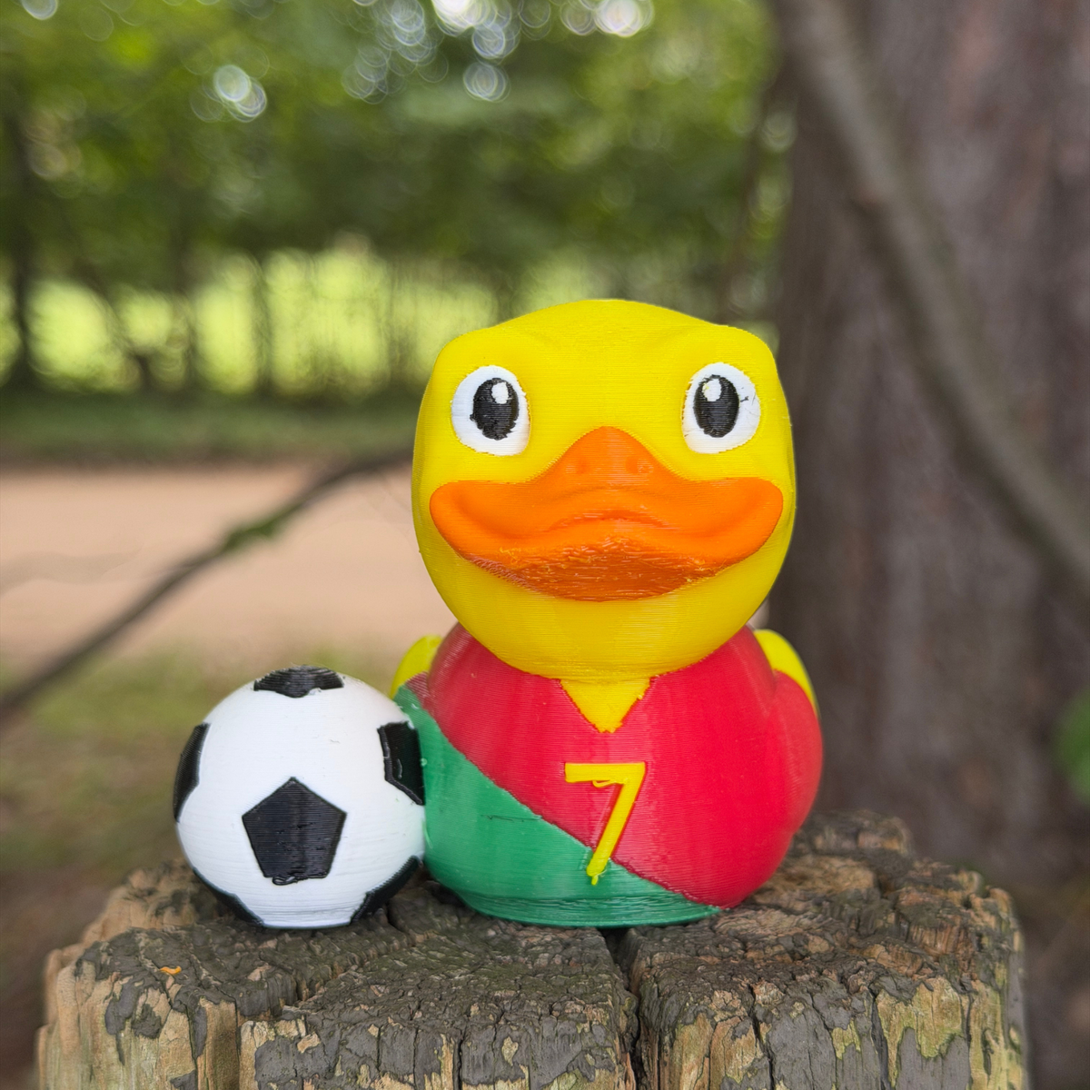 Soccer Duck