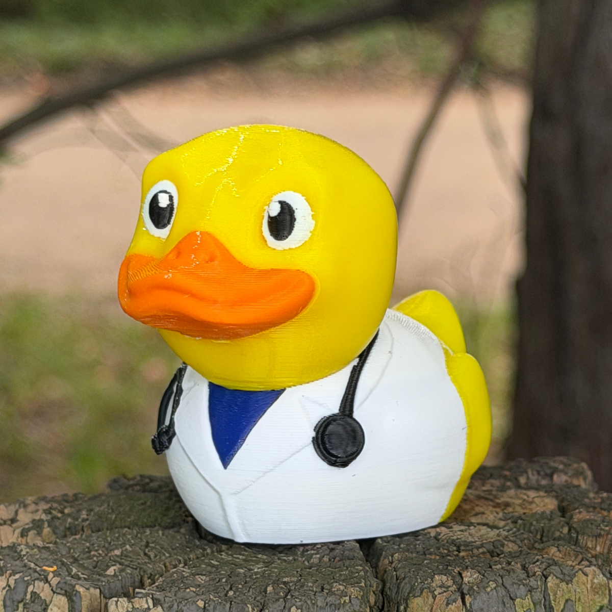 Doctor Duck