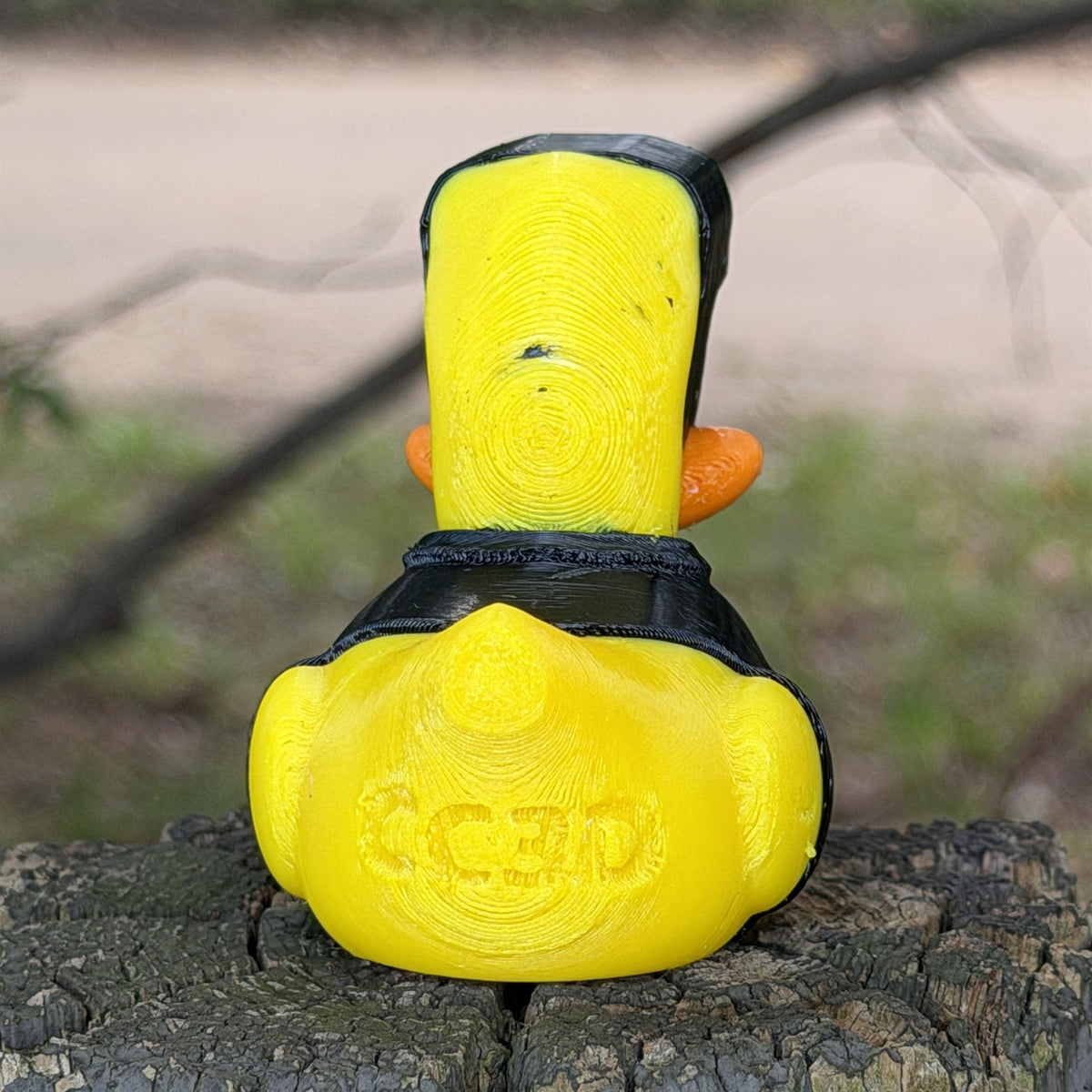 Spy Duck back view with CC3D logo